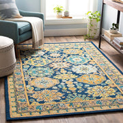 Multicolor Premium Hand Knotted Area Rug for Living Room & Bedroom