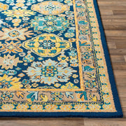 Multicolor Premium Hand Knotted Area Rug for Living Room & Bedroom