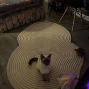 Irregular Shape Modern Rug